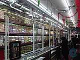Glass Partition